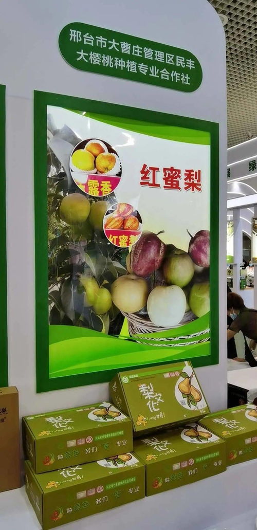 宁晋绿色农产品在厦门绿博会广受欢迎，水产品零售表现抢眼