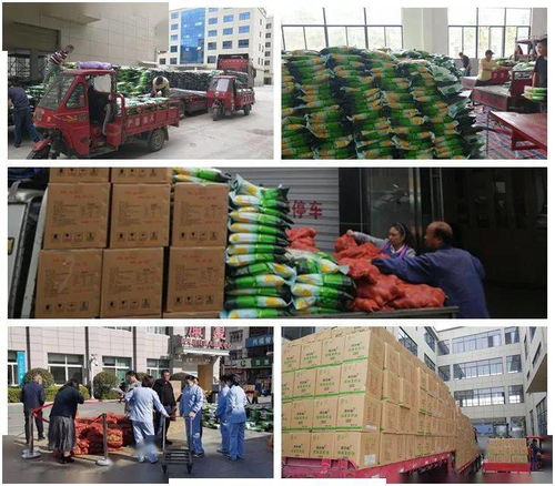 庆元9天高效派送253吨农产品，东西部消费扶贫任务圆满完成