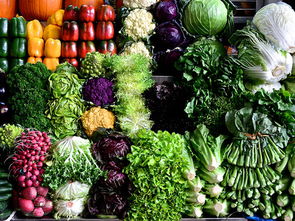 东莞莫卡 打通农产品销售最后一公里